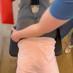 Paquete de Alineación Pélvica